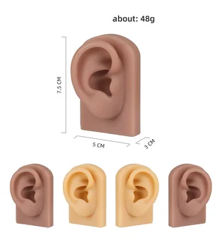 Szilikon Fül Modell, Szimuláció, bőr, fül modell Akupunktúra Tanulmány Gyakorlat Piercing Ékszer Fülbevaló Stud Display Fül Modell Készlet